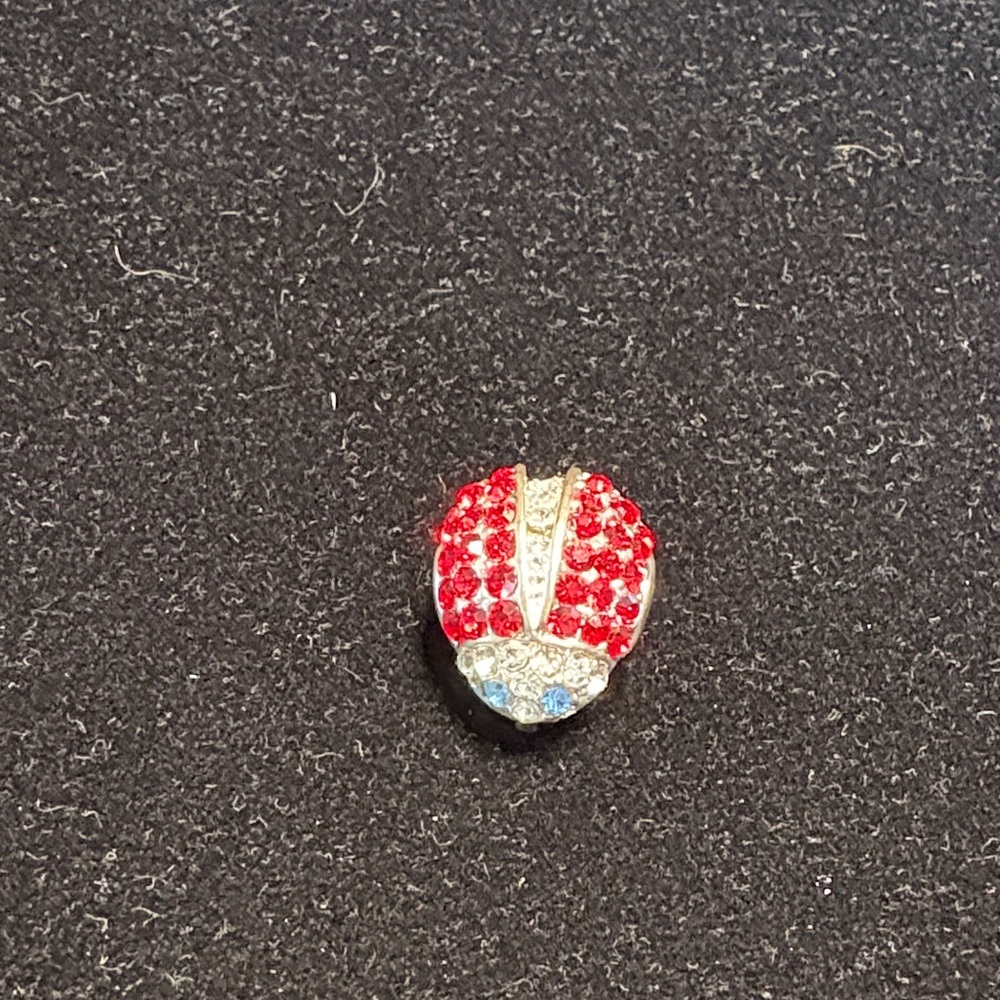 Chic Red and Silver Crystal Brooch